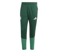 Algeria training pants Coupe du Monde 2026 Vert S