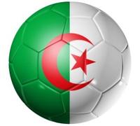 Algeria World Cup 2014 Football Flag 25mm Fridge Magnet