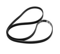 ALGOMAS® Transmission Belt for Candy Washing Machine | 5EPJ1225 | 41039460 | 41021973