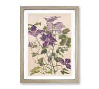 Alice Bailly Large Clematis Flower Classic Painting Framed Wall Art Print, Ready to Hang Picture for Living Room Bedroom Home Office Décor, Oak A4 (34 x 25 cm)