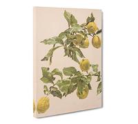 Alice Bailly Lemon Tree Classic Painting Canvas Wall Art Print Ready to Hang, Framed Picture for Living Room Bedroom Home Office Décor, 30x20 Inch (76x50 cm)
