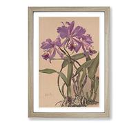 Alice Bailly Purple Flowers Framed Print | A2 Oak Framed Wall Art | Ready to Hang | Modern Floral Picture | Living Room Bedroom Lounge Office