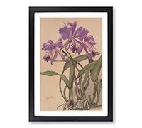 Alice Bailly Purple Flowers Framed Print | A2 Oak Framed Wall Art | Ready to Hang | Modern Floral Picture | Living Room Bedroom Lounge Office