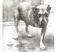 ALICE IN CHAINS: ALICE IN CHAINS - CD