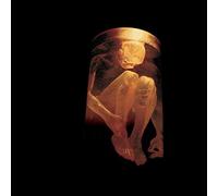 Alice In Chains - Nothing Safe - The Best of the Box