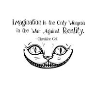 Alice in Wonderland Wall Sticker Quotes Imagination is The Only Vinyl Decals Room Wall Art Decoration Kids Small - 42x63cm