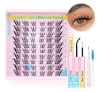 ALICE Natural Lash Clusters Kit Wispy Cat Eye Lash Extension Kit 3D C Curl Eyelash Clusters Kit Left & Right DIY Eyelash Extension kit with Individual Lashes Bond and seal Lash Applicator