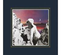 Alice Phoebe Lou - Paper Castles (New Sealed Vinyl LP Record) R206