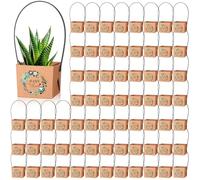 Aliceset 100 Pcs Baby in Bloom Succulent Wrap Bulk Succulent Gift Wrap Bag with Plastic Handle Kraft Paper Gift Box Basket Baby Shower Wedding Party Favor Not Include Plant Pot, 2.2 x 2.2 x 2.1 Inch