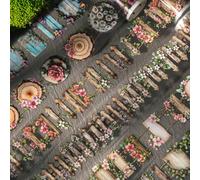 Alideco 6pcs Decorative Adhesive Tapes Vintage Flower Ladder Wooden Plaque Wheel of the Year PET Tape Great for Bullet Journal Supplies, Arts, Scrapbook, DIY Crafts, Planners (nuoweidesenlinzhijian)
