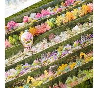 Alideco 6pcs Decorative Adhesive Tapes Vintage shrub landscaping PET Tape Great for Bullet Journal Supplies, Arts, Scrapbook, DIY Crafts, Planners(guanmuhuajing)