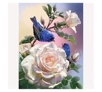 ALIEDA Embroidery Kits Cross Stitch Roses and Birds Pre-Printed Embroidery Kits Embroidery Patterns Embroidery 11Ct DIY Pre-Printed Canvas Home Décor(40x50cm)