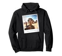 Alien Building Pyramids UFO Conspiracy Theory Sarcasm Pullover Hoodie