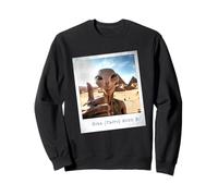 Alien Building Pyramids UFO Conspiracy Theory Sarcasm Sweatshirt