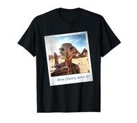 Alien Building Pyramids UFO Conspiracy Theory Sarcasm T-Shirt