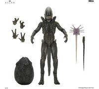 ALIEN: EARTH XENOMORPH ULTIMATE 7 INCH SCALE ACTION FIGURE