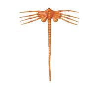 Alien Facehugger , Face Hugger Alien Latex , Horror Film Alien Facehugger Halloween , Realistic Masks Face Cover for Halloween Party Costume Accessories, Cosplay Show