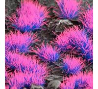 Alien Neon 4mm Tufts, Gamers Grass, Modeling/Miniatures/Wargamming