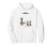 Alien UFO Cat Abduction Desert Landscape Scene Pullover Hoodie