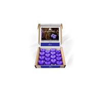 Alien Wax Melts: 16 pcs x 5g Heart Shaped Scented Wax Melts Inspired by Alien Perfume, Vegan & Pet Friendly, Cruelty & Plastic Free, Handmade in UK