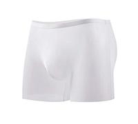 Alienjoy Men's Thin Ice Silk Boxer Briefs Sexy Underwear Transparent Seamless Skin-Friendly Low Waist Underwear