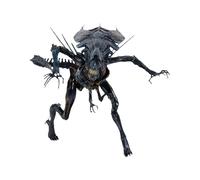 Aliens - Xenomorph Queen Ultra Deluxe Boxed - 15 in NECA 13859