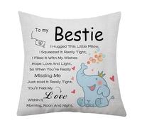 aligarian Bestie Gifts for Women Girls Friend Friendship Cushion Cover Thanks Inspirational Throw Pillow Cover Pillowcase for Best Friend Christmas Birthday Gifts (Bestie)