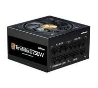 Alimentation ATX Zalman TeraMax TMX2-750W (Noir)