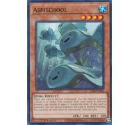 ALIN-EN084 Aspischool