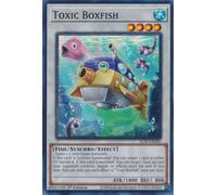ALIN-EN085 Toxic Boxfish