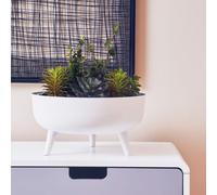 Alina White Metal Round Footed Planter with Angular Base