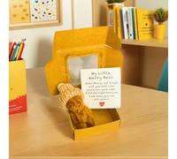 ALINUOYQ Worry Bear, Little Bear in A Box with a Hat, Handmade Mini Plush Pocket Graduation Bears with Inspirational Card, Little Doll in A Box Emotional Support Inspirational Gifts