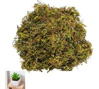 Alinw Fake Moss for Crafting 100g, Artificial Green Moss for Plant Pots DIY, Spanish Moss Decoration for Terrariums