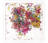 Alipis 1 Box Japanese Style Dried Floral Nail Charms for Manicure Portable Nail Art Decoration Box with Delicate Tiny Flowers for DIY Fingernail Design Elegant Pressed Flower Accessories