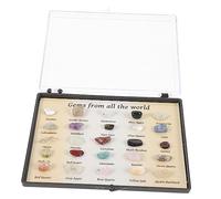 Alipis 1 Box Mini Crystal Mineral Stone Collection Box Irregular Rough Rock Specimens for Geology Science Education Lightweight Desktop Ornament and Decorative Collection