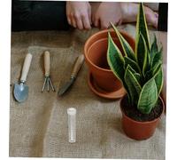 Alipis 100pcs Clear Floral Nutrition Tubes for Fresh Flowers Plastic Propagation Vases with Advanced Hydration System Garden Plant Holders for Floral Arrangements Home and Office Use