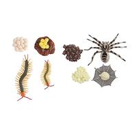 Alipis 2 Sets Educational Animal Figurines Life Cycle Models of Tarantula and Plastic Cognitive for Early Childhood Nature Exploration and Learning