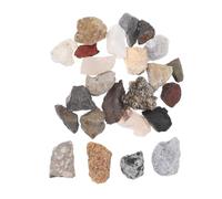 Alipis 24pcs Natural Mineral Rock Collection for Authentic Geology Specimens in Storage Box Educational Science Kit for Classroom Learning and Exploration