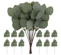 Alipis 24pcs Realistic Fake Eucalyptus Stems with Real Touch Green Leaves, Plastic and Silk Fabric Material, for Flower Arrangement on Bedroom Desk or Wedding Party Greenery Decor