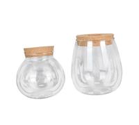 Alipis 2Pcs Glass Ecological Plant Containers for Indoor Hydroponic Moss Display Small Desktop Terrarium Bottles with Smooth Surface Decorative Plant Holders for Living Office Balcony