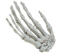 Alipis 2Pcs Large Realistic Skeleton Hand Hair Clips Halloween Decoration Horror Props for Haunted House Party Atmosphere