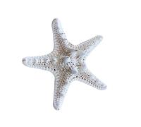 Alipis 2pcs Natural Sea Star Ornaments Ocean Themed Home Decor Aquarium Ornaments Beach Room Decor Random Style