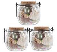 Alipis 3pcs Mini Conch Bottle Set Unique Wishing Bottles for Boy Girl Travel Souvenir Crafting Home Decor Natural Sea Snail Shells for Festivals Jewelry Making and Meditation