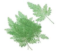 Alipis 48pcs Natural Dried Leaves Material Green Preserved Leaves Retaining Scent and Color No Bad Odor for DIY Dried Plant Resin Jewelry and Bath Supplies