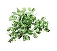 Alipis 50pcs Christmas Leaves Decoration Holly Leaf Embellishments for Xmas Wreath Crafting Aesthetic Decor Christmas Party Favors