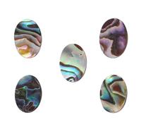 Alipis 5Pcs Abalone Shell Oval Pendant 10X14Mm DIY Jewelry Making Charms for Earrings and Necklace Accessories, Natural Seashell Craft Decorations for Handmade Jewelry