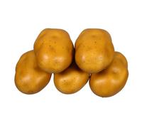 Alipis 5pcs Realistic Foam Potato Models Simulation Food Artificial Potatoes Kitchen Decor Mini Figurines for Home Display and Restaurant Props