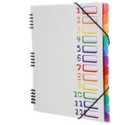 Alipis A4 Large Capacity File Folder with 12 Layers, Lightweight and Damage Resistant Pp Binder Dividers with Tabs for Study and Office Use, Multilayer Classification and Ring Binder
