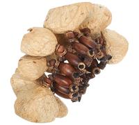 Alipis African Hand Drum Nut Shell Bracelet Lightweight Hand Percussion Shaker Sturdy Sound Clarity for Yoga and Dance, Artful Handcrafted Cultural Fusion Accessory