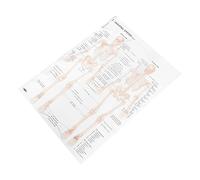 Alipis Anatomical Skeleton and Muscle Poster Creative Hanging Kraft Chart for Human Body Study and Home Decoration Educational Art Print for Anatomy Physiology Enthusiasts